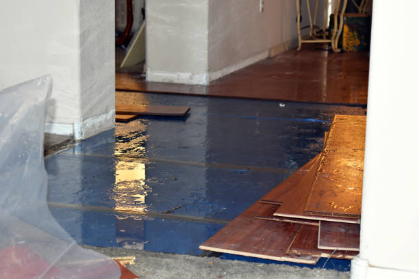 Professional Burst Pipe Water Damage technician working in Lexington, VA